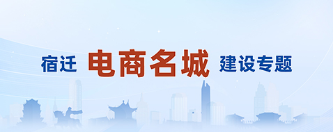 宿遷電商名城建設專題